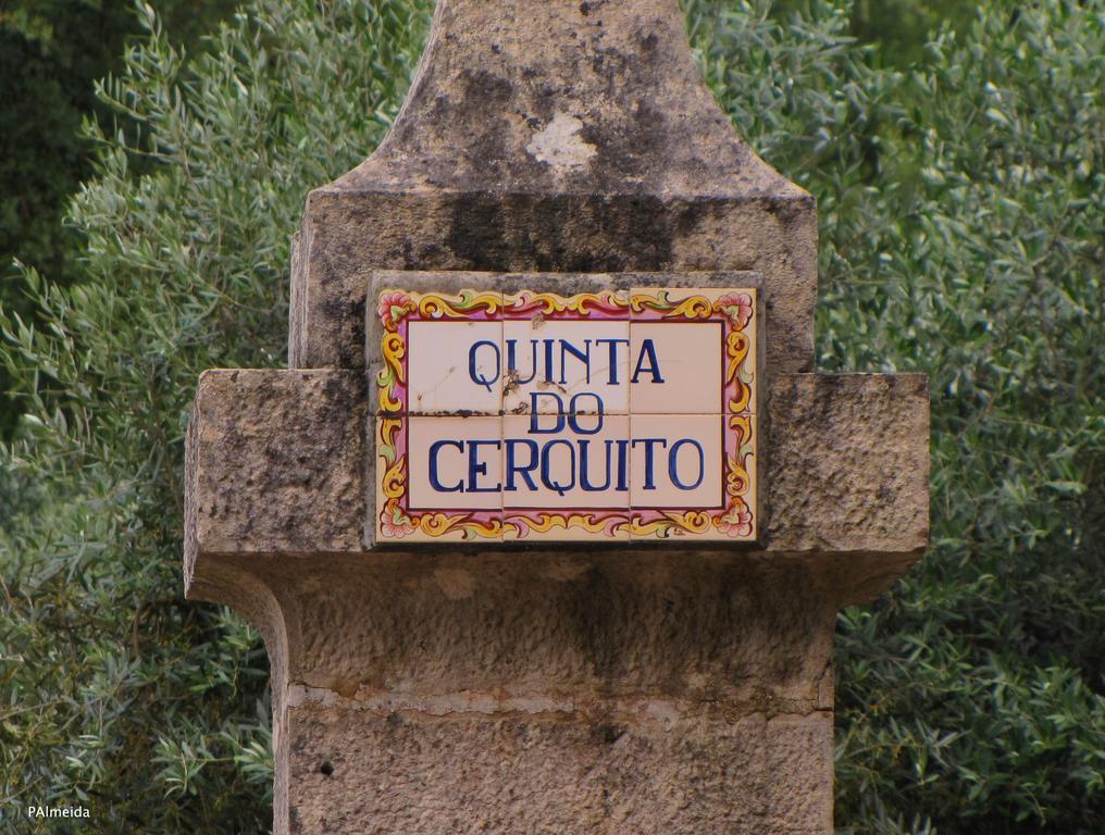 Quinta Do Cerquito Villa Ferreira do Zezere Exterior photo